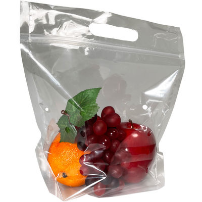 Zipverschluss-Plastik druckte Taschen mit Reißverschluss mit Logo Fruit Stand Up Pouch mit Griff